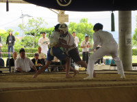 IMG_1470
