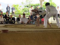 IMG_1472