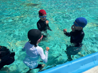 2年3組_たいいく_芳野　和泉_水泳_9