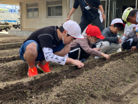 のぞみ５組 せいたん_田中　歩海_野菜の苗植え_10