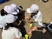3年4組_理科_峰山　詩歩_かげと太陽_3