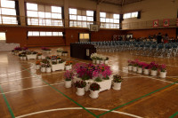IMGP2134
