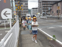 IMGP1589